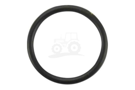 O-ring
