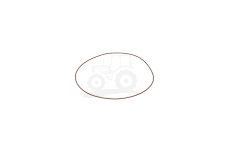 O-ring