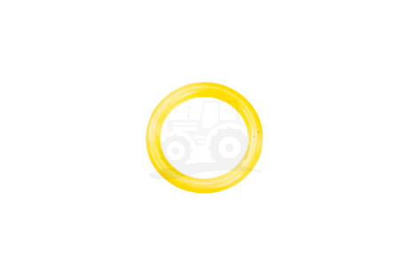 O-ring