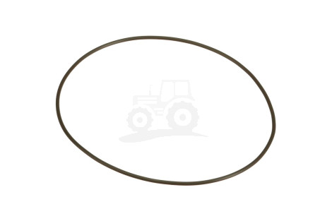O-ring