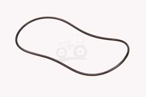 O-ring
