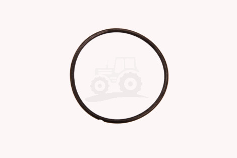 O-ring