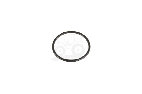 O-ring