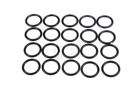 O-ring