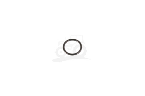 O-ring