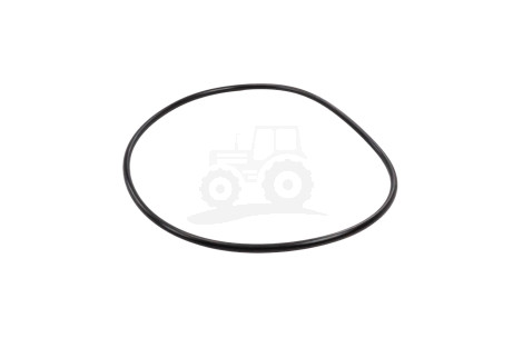 O-ring