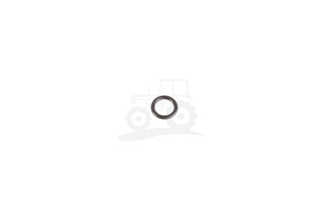 O-ring