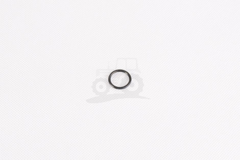 O-ring
