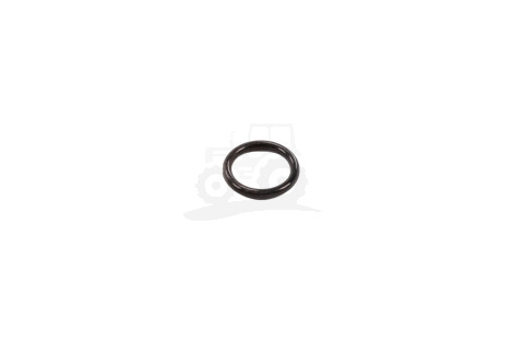 O-ring