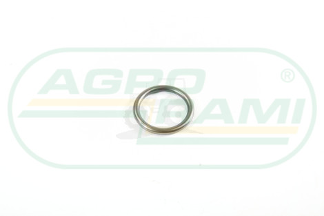 O-ring