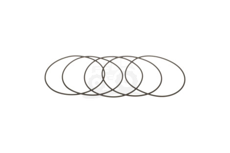 O-ring
