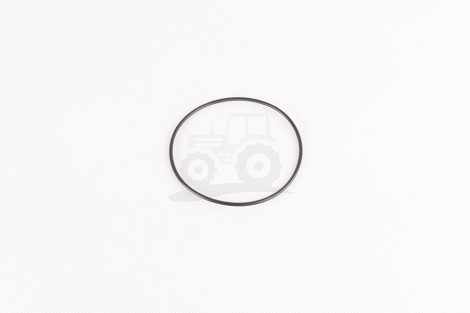 O-ring