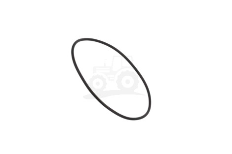 O-ring