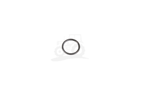 O-ring