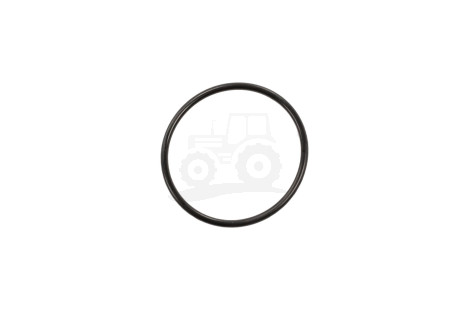 O-ring