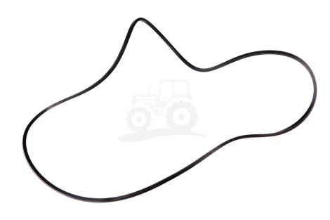 O-ring