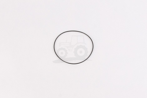 O-ring