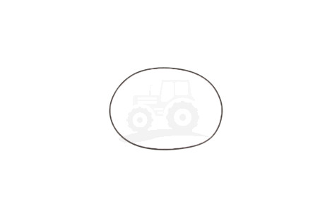 O-ring