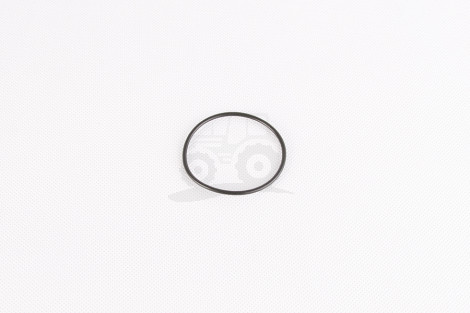 O-ring