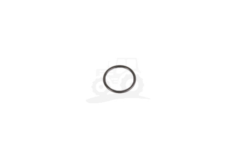 O-ring