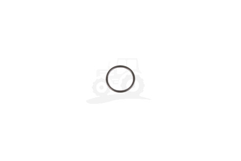O-ring