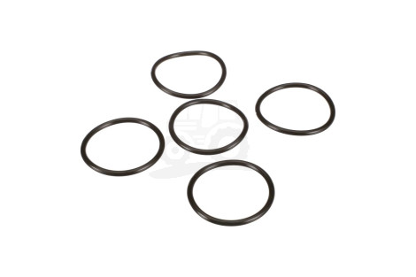 O-ring