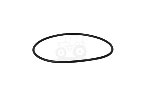 O-ring