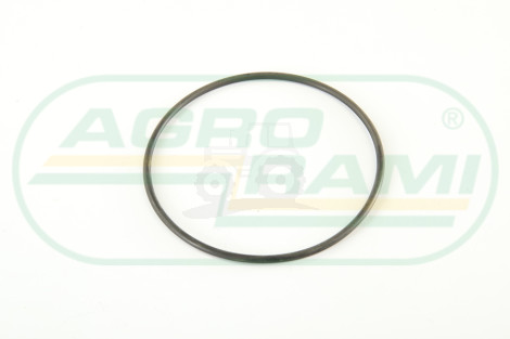 O-ring