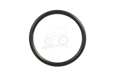 O-ring