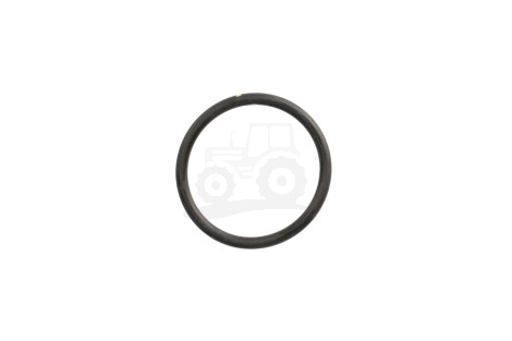 O-ring