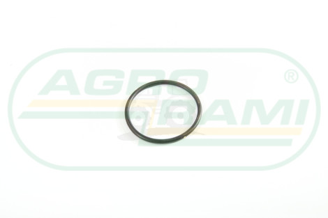 O-ring