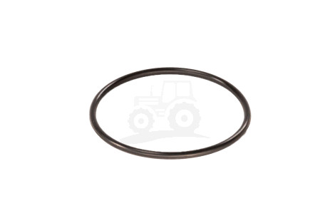 O-ring