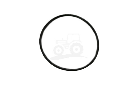 O-ring