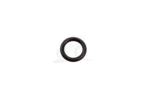 O-ring