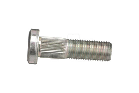 Śruba