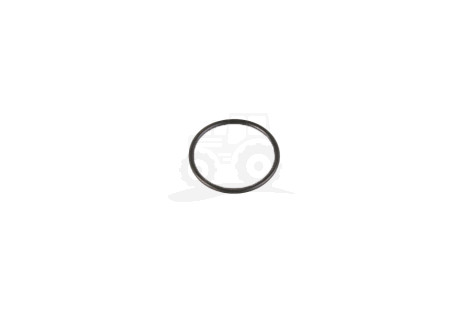 O-ring