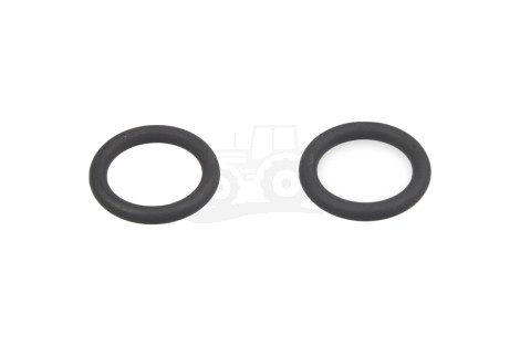 O-ring