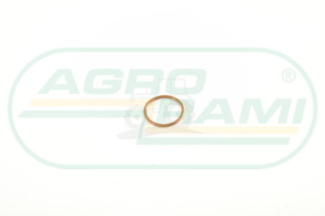 O-ring