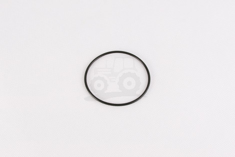 O-ring