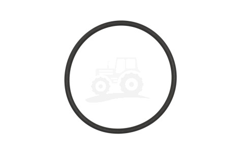 O-ring