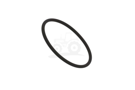 O-ring