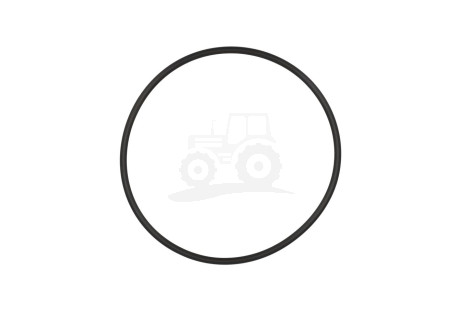 O-ring