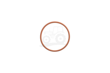 O-ring