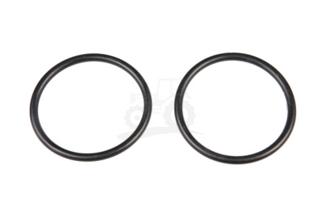O-ring