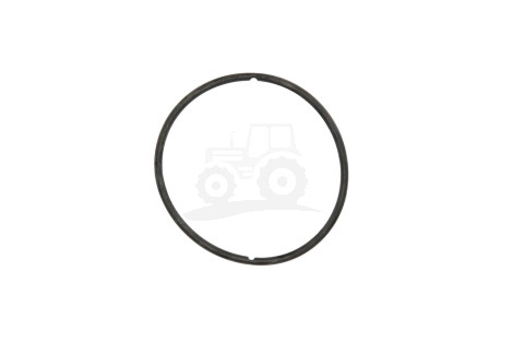 O-ring