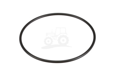 O-ring