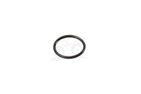 O-ring