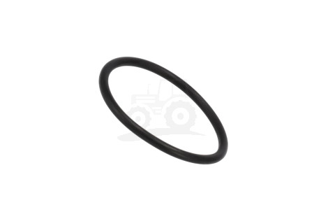 O-ring