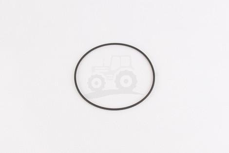 O-ring tłoka hamulca