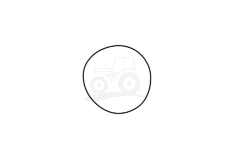 O-ring